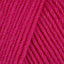 Fuchsia (91)