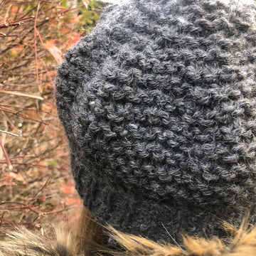 Winter Picnics Beanie