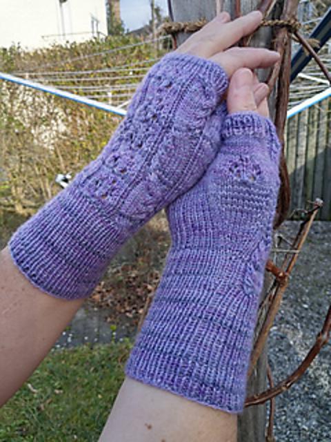 Snowboarding Mitts for Dog and Cat Lovers