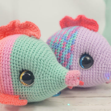 Fish
