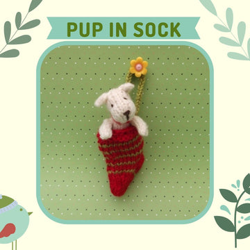 Pup in Sock