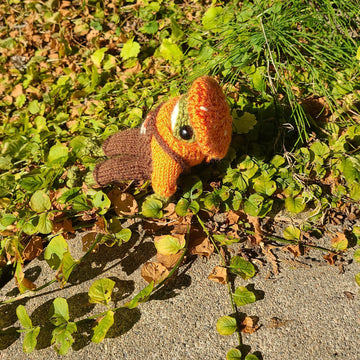 Froggy's Mushroom Hat