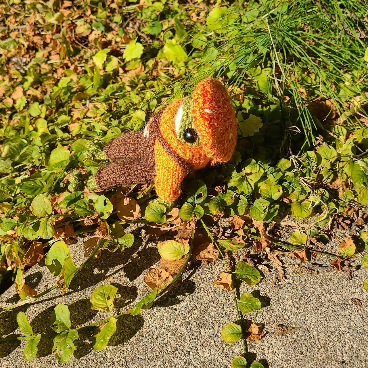 Froggy's Mushroom Hat