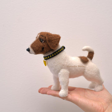 Jack Russell Terrier