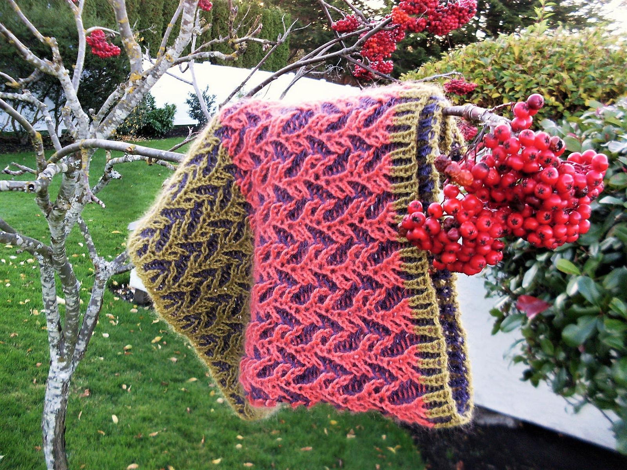 Rowanberries cowl