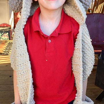 Dog Hooded Scarf