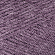 Purple Aster (674-146)