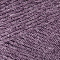 Purple Aster (674-146)