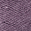 Purple Aster (674-146)