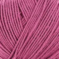Fuchsia (163)