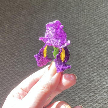 Iris flower