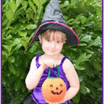 Trick or Treat Bag