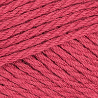 Fuchsia (00045)