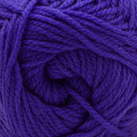 Blue Iris (73)