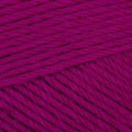 Raspberry (5046)