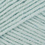 Spearmint (303)