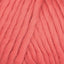 Raspberry Pink