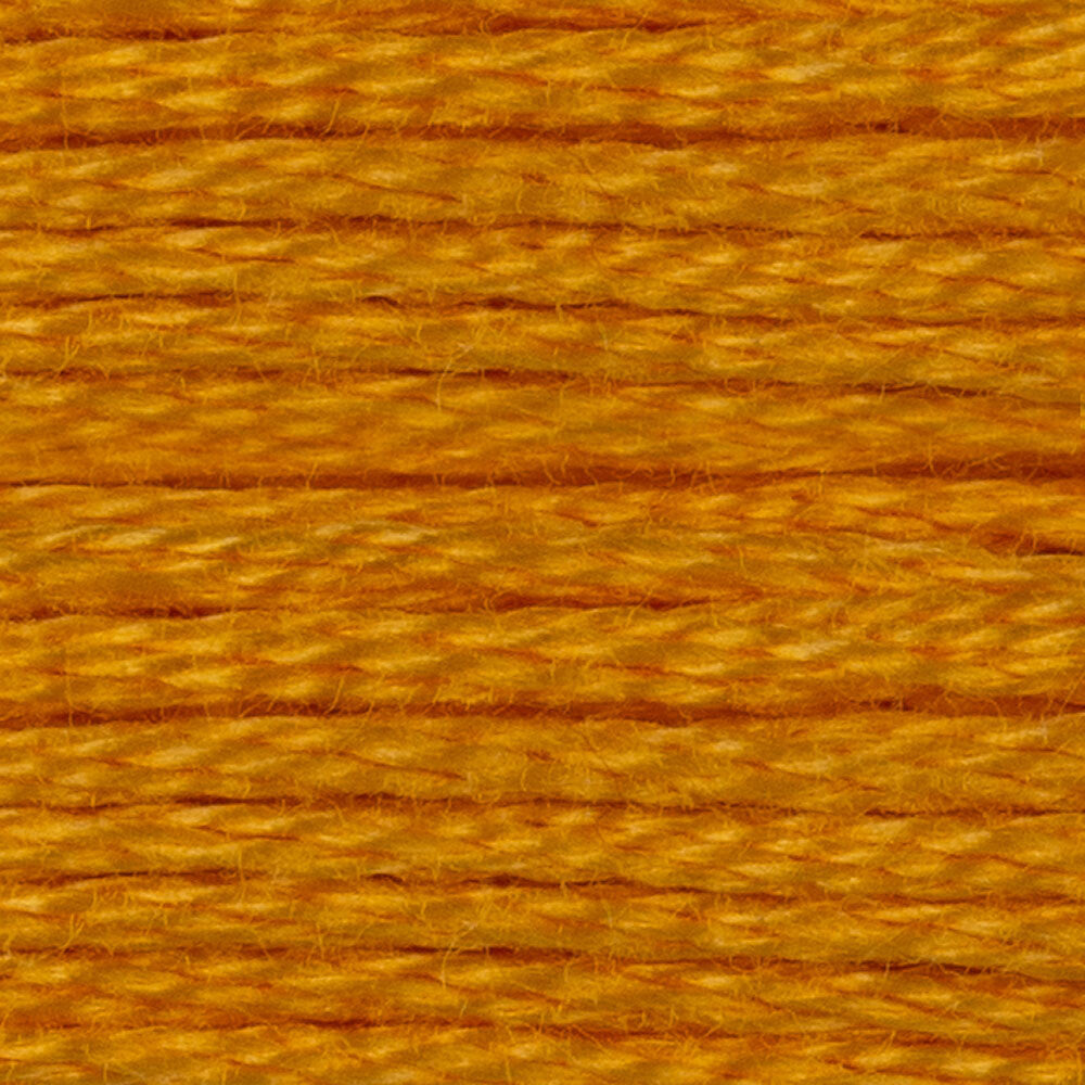 DMC Stranded Cotton - Warm Shades