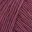 Berry Sorbet (125)
