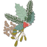 Sizzix Thinlits Die Set 8PK -Winter Foliage by Debi Potter
