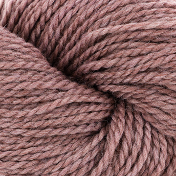 Lilac Bloom (1325)