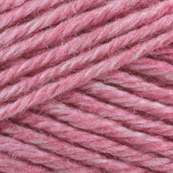 Denali (103)