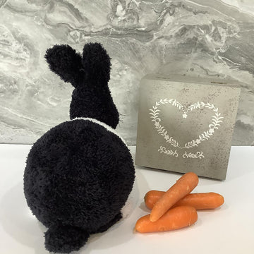 Dutch Bunny Rabbit