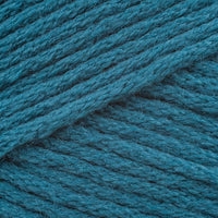 Duck Teal (9759)