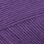 Pansy Purple (448)