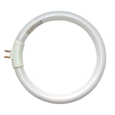 Daylight Studios Naturalight Circular Tube: 12 Watt DN0004