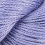 Delphinium (3706)