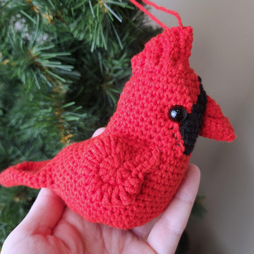 Red Cardinal bird