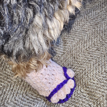 Think Spring Dog Booties