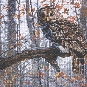 Dimensions Wise Owl Cross Stitch Kit - 35.5cm x 28cm