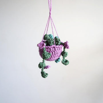 Hanging Plant with Flowers