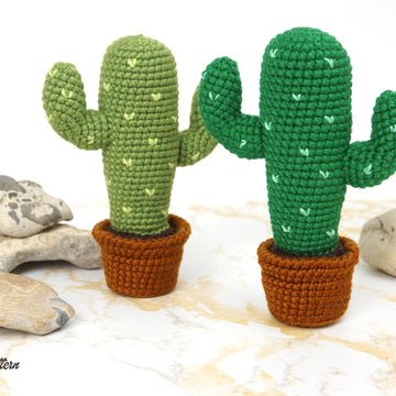 Desert Cactus