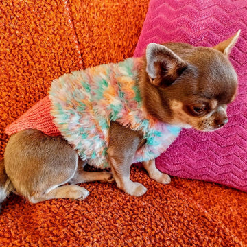 Pull Yeti pour petits chiens