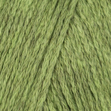 Moss (257)
