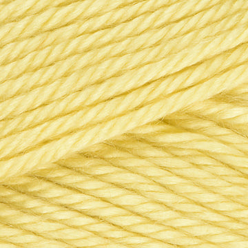 Premier Yarns Eversoft