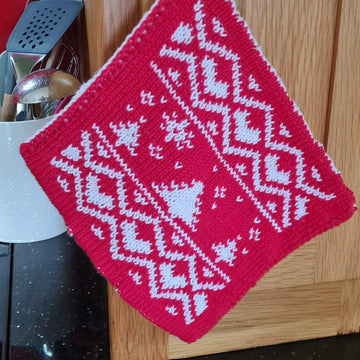 Christmas Potholder