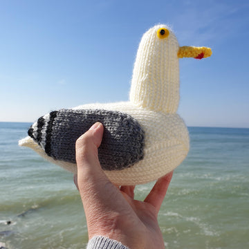Big Jeff the Seagull