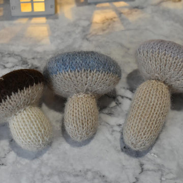 Mushrooms and acorns