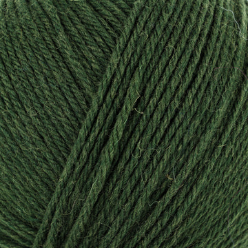Seaweed (94)