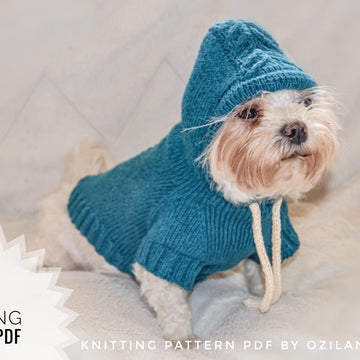 Sport hoodie clothes for dog