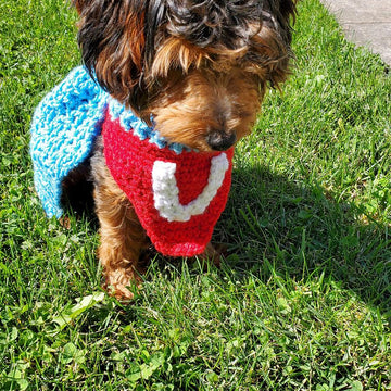 Underdog Dog Cowl