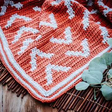 Arrow Blanket
