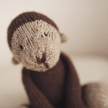 Marlowe Monkey