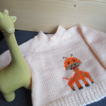 Baby Giraffe Motif Jumper