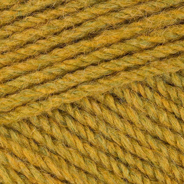 Mustard (2496)
