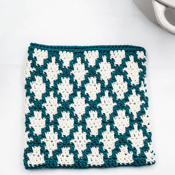 Mosaic Crochet Hot Pad